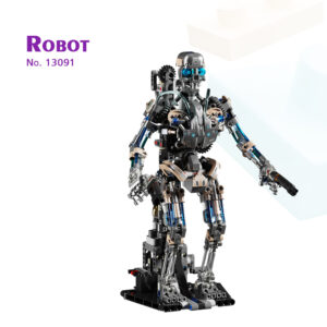 Robot