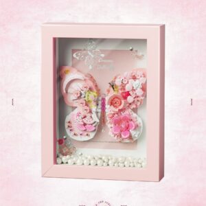 Star Moon Butterfly Frame